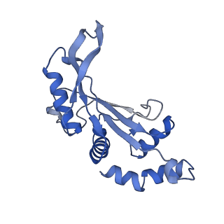 40882_8syl_F_v1-1
Cryo-EM structure of the Escherichia coli 70S ribosome in complex with amikacin, mRNA, and A-, P-, and E-site tRNAs