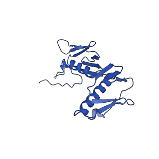 40882_8syl_G_v1-1
Cryo-EM structure of the Escherichia coli 70S ribosome in complex with amikacin, mRNA, and A-, P-, and E-site tRNAs