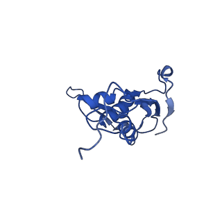 40882_8syl_L_v1-1
Cryo-EM structure of the Escherichia coli 70S ribosome in complex with amikacin, mRNA, and A-, P-, and E-site tRNAs