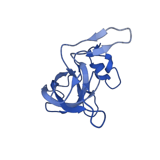 40882_8syl_M_v1-1
Cryo-EM structure of the Escherichia coli 70S ribosome in complex with amikacin, mRNA, and A-, P-, and E-site tRNAs