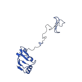 40882_8syl_N_v2-0
Cryo-EM structure of the Escherichia coli 70S ribosome in complex with amikacin, mRNA, and A-, P-, and E-site tRNAs