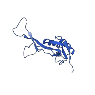 40882_8syl_O_v1-1
Cryo-EM structure of the Escherichia coli 70S ribosome in complex with amikacin, mRNA, and A-, P-, and E-site tRNAs