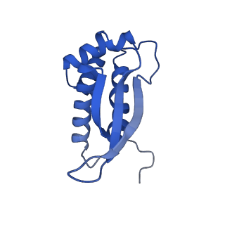 40882_8syl_P_v1-1
Cryo-EM structure of the Escherichia coli 70S ribosome in complex with amikacin, mRNA, and A-, P-, and E-site tRNAs