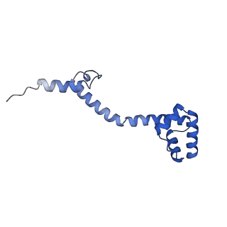 40882_8syl_S_v1-1
Cryo-EM structure of the Escherichia coli 70S ribosome in complex with amikacin, mRNA, and A-, P-, and E-site tRNAs