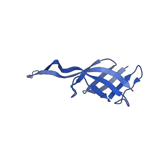 40882_8syl_T_v1-1
Cryo-EM structure of the Escherichia coli 70S ribosome in complex with amikacin, mRNA, and A-, P-, and E-site tRNAs