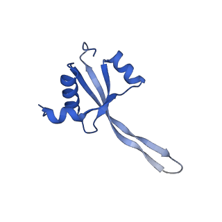 40882_8syl_V_v1-1
Cryo-EM structure of the Escherichia coli 70S ribosome in complex with amikacin, mRNA, and A-, P-, and E-site tRNAs