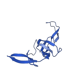 40882_8syl_W_v1-1
Cryo-EM structure of the Escherichia coli 70S ribosome in complex with amikacin, mRNA, and A-, P-, and E-site tRNAs
