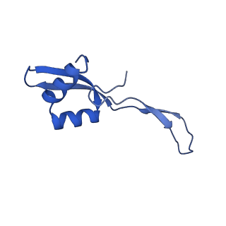 40882_8syl_Z_v1-1
Cryo-EM structure of the Escherichia coli 70S ribosome in complex with amikacin, mRNA, and A-, P-, and E-site tRNAs