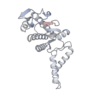 40882_8syl_b_v1-1
Cryo-EM structure of the Escherichia coli 70S ribosome in complex with amikacin, mRNA, and A-, P-, and E-site tRNAs