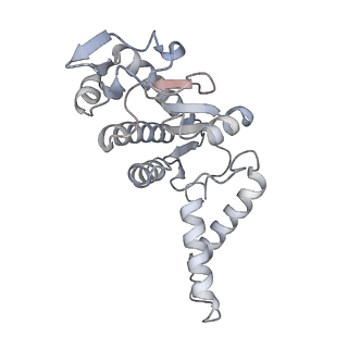 40882_8syl_b_v2-0
Cryo-EM structure of the Escherichia coli 70S ribosome in complex with amikacin, mRNA, and A-, P-, and E-site tRNAs