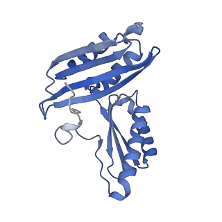 40882_8syl_c_v1-1
Cryo-EM structure of the Escherichia coli 70S ribosome in complex with amikacin, mRNA, and A-, P-, and E-site tRNAs