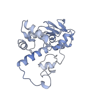 40882_8syl_d_v1-1
Cryo-EM structure of the Escherichia coli 70S ribosome in complex with amikacin, mRNA, and A-, P-, and E-site tRNAs