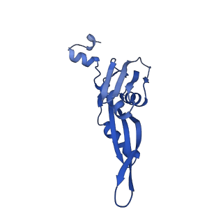 40882_8syl_e_v1-1
Cryo-EM structure of the Escherichia coli 70S ribosome in complex with amikacin, mRNA, and A-, P-, and E-site tRNAs