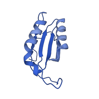 40882_8syl_f_v1-1
Cryo-EM structure of the Escherichia coli 70S ribosome in complex with amikacin, mRNA, and A-, P-, and E-site tRNAs