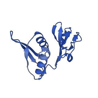 40882_8syl_h_v1-1
Cryo-EM structure of the Escherichia coli 70S ribosome in complex with amikacin, mRNA, and A-, P-, and E-site tRNAs