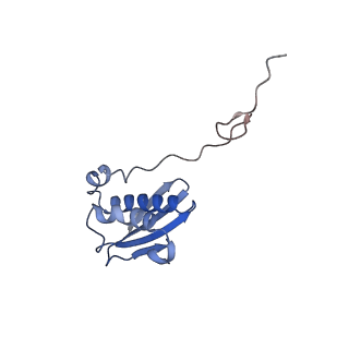40882_8syl_i_v1-1
Cryo-EM structure of the Escherichia coli 70S ribosome in complex with amikacin, mRNA, and A-, P-, and E-site tRNAs