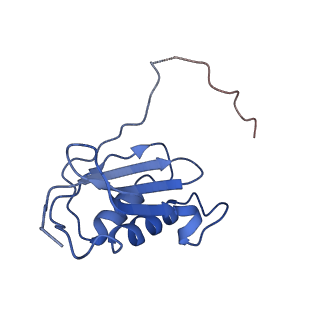 40882_8syl_k_v1-1
Cryo-EM structure of the Escherichia coli 70S ribosome in complex with amikacin, mRNA, and A-, P-, and E-site tRNAs