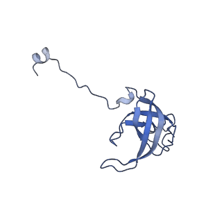 40882_8syl_l_v1-1
Cryo-EM structure of the Escherichia coli 70S ribosome in complex with amikacin, mRNA, and A-, P-, and E-site tRNAs