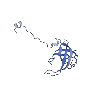 40882_8syl_l_v2-0
Cryo-EM structure of the Escherichia coli 70S ribosome in complex with amikacin, mRNA, and A-, P-, and E-site tRNAs