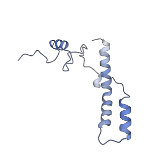 40882_8syl_n_v1-1
Cryo-EM structure of the Escherichia coli 70S ribosome in complex with amikacin, mRNA, and A-, P-, and E-site tRNAs