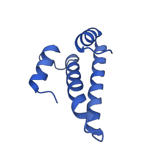 40882_8syl_o_v2-0
Cryo-EM structure of the Escherichia coli 70S ribosome in complex with amikacin, mRNA, and A-, P-, and E-site tRNAs