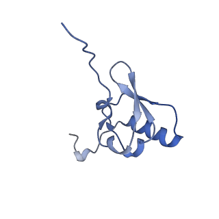 40882_8syl_s_v1-1
Cryo-EM structure of the Escherichia coli 70S ribosome in complex with amikacin, mRNA, and A-, P-, and E-site tRNAs
