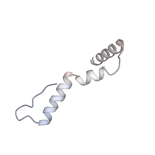 40882_8syl_u_v1-1
Cryo-EM structure of the Escherichia coli 70S ribosome in complex with amikacin, mRNA, and A-, P-, and E-site tRNAs