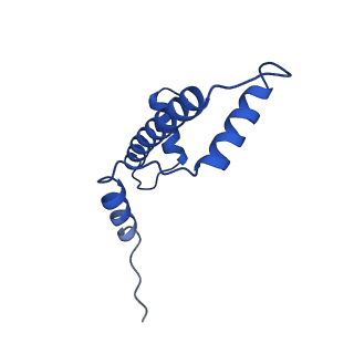 40889_8syp_A_v1-1
Genomic CX3CR1 nucleosome
