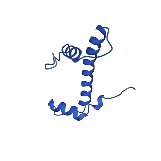 40889_8syp_B_v1-2
Genomic CX3CR1 nucleosome