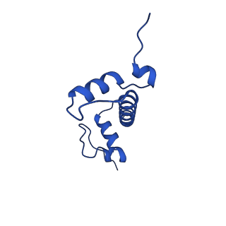 40889_8syp_C_v1-2
Genomic CX3CR1 nucleosome