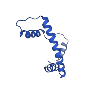 40889_8syp_E_v1-1
Genomic CX3CR1 nucleosome