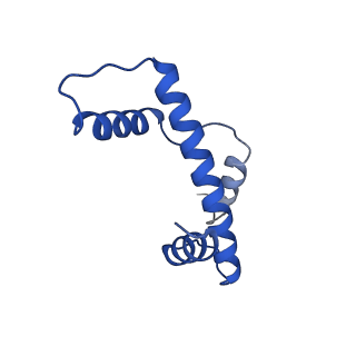 40889_8syp_E_v1-2
Genomic CX3CR1 nucleosome