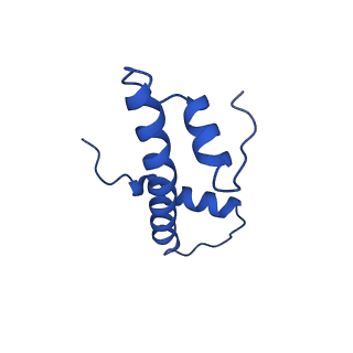 40889_8syp_F_v1-1
Genomic CX3CR1 nucleosome