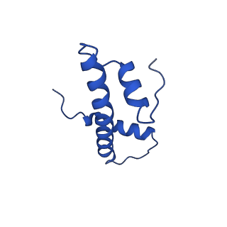 40889_8syp_F_v1-2
Genomic CX3CR1 nucleosome