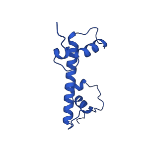40889_8syp_G_v1-1
Genomic CX3CR1 nucleosome