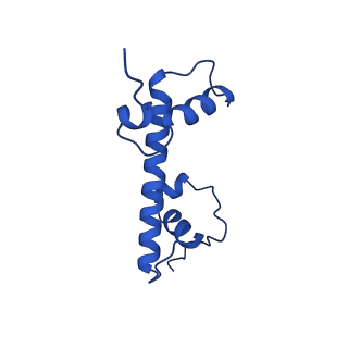 40889_8syp_G_v1-2
Genomic CX3CR1 nucleosome