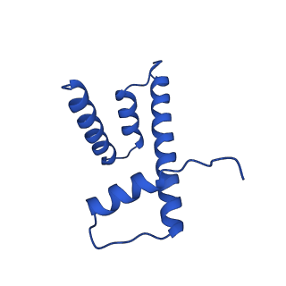 40889_8syp_H_v1-1
Genomic CX3CR1 nucleosome