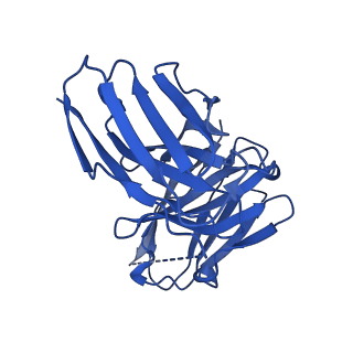 40889_8syp_M_v1-1
Genomic CX3CR1 nucleosome