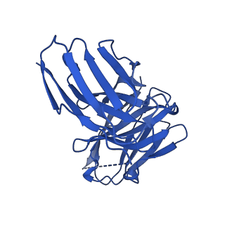 40889_8syp_M_v1-2
Genomic CX3CR1 nucleosome