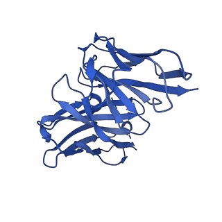 40889_8syp_N_v1-1
Genomic CX3CR1 nucleosome