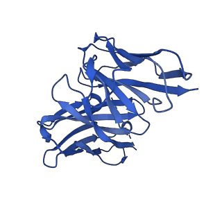 40889_8syp_N_v1-2
Genomic CX3CR1 nucleosome