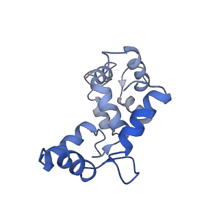 8315_5sy1_C_v1-3
Structure of the STRA6 receptor for retinol uptake in complex with calmodulin