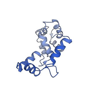 8315_5sy1_C_v1-4
Structure of the STRA6 receptor for retinol uptake in complex with calmodulin