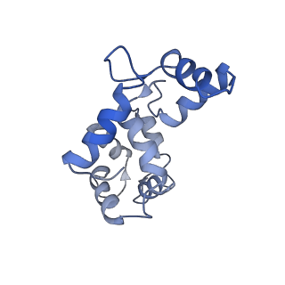 8315_5sy1_D_v1-4
Structure of the STRA6 receptor for retinol uptake in complex with calmodulin