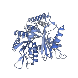 8322_5syf_A_v1-4
High-resolution cryo-EM reconstruction of Taxol-stabilized microtubule