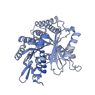 8322_5syf_B_v1-4
High-resolution cryo-EM reconstruction of Taxol-stabilized microtubule