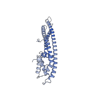 10350_6sz9_D_v1-3
Type IV Coupling Complex (T4CC) from L. pneumophila.
