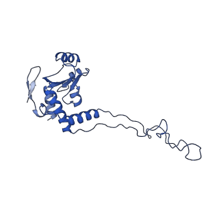 10353_6szs_E_v1-1
Release factor-dependent ribosome rescue by BrfA in the Gram-positive bacterium Bacillus subtilis