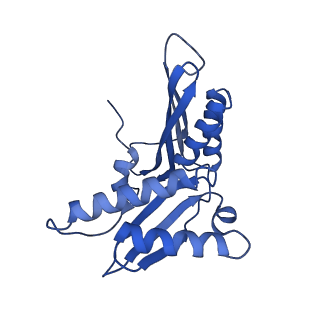 10353_6szs_c_v1-1
Release factor-dependent ribosome rescue by BrfA in the Gram-positive bacterium Bacillus subtilis