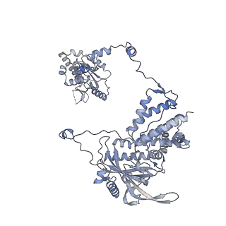 10355_6szv_A_v1-2
Bat Influenza A polymerase elongation complex with incoming UTP analogue (core + endonuclease only)
